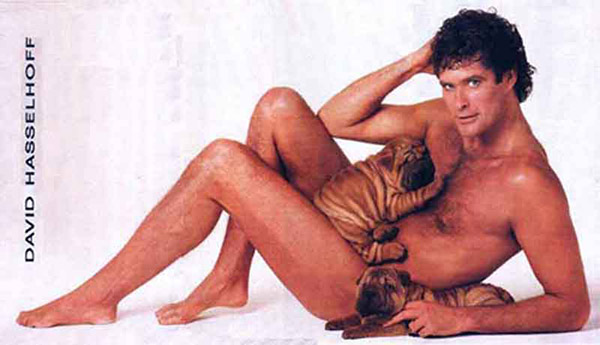 david hasselhoff avec des chiens