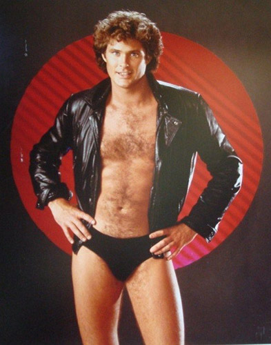 david hasselhoff