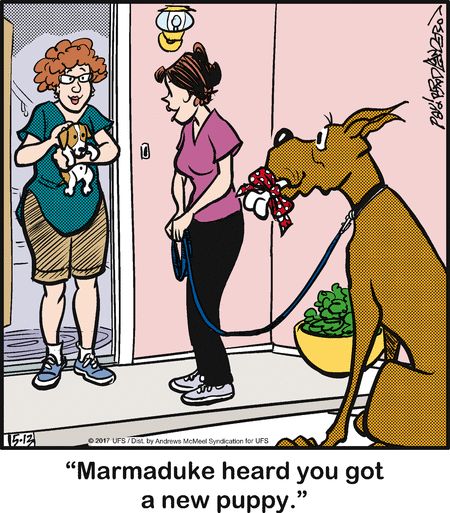 Marmaduke