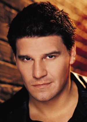 David Boreanaz