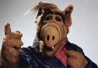 ALF