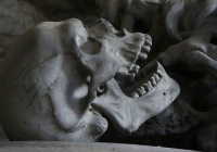 Crâne et squelette
