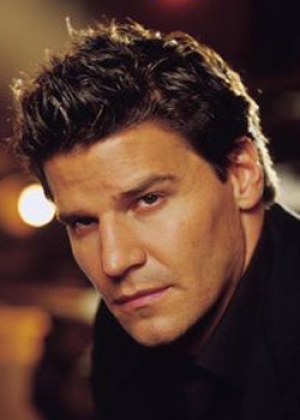 David Boreanaz