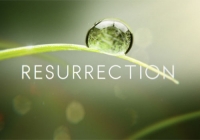 Resurrection